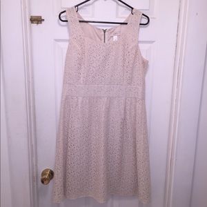 EUC Ann Taylor LOFT Lace Dress